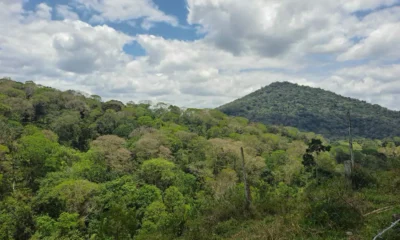 sul do estado. As ações fazem parte da execução do Termo de Compromisso Socioambiental (TCSA) Porto Sul e têm como foco