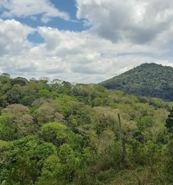 sul do estado. As ações fazem parte da execução do Termo de Compromisso Socioambiental (TCSA) Porto Sul e têm como foco