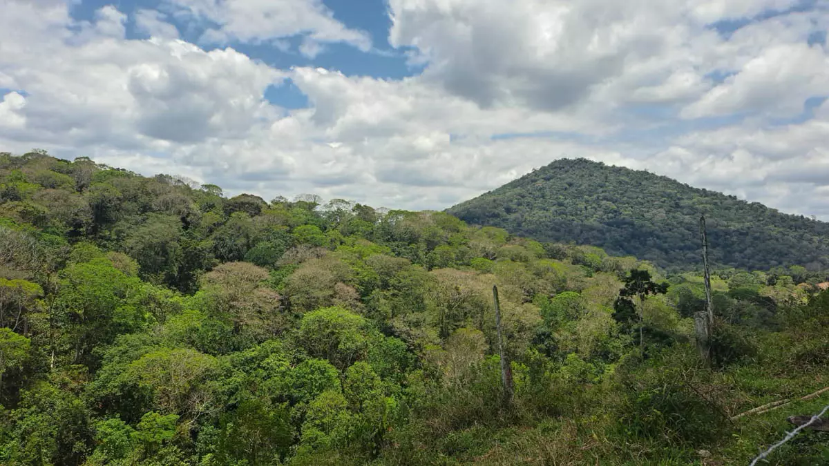 sul do estado. As ações fazem parte da execução do Termo de Compromisso Socioambiental (TCSA) Porto Sul e têm como foco