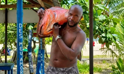 Quando o comerciante Carlos Santos das Virgens, de 38 anos, viu as obras do Veículo Leve sobre Trilhos (VLT) avançar, não imaginava