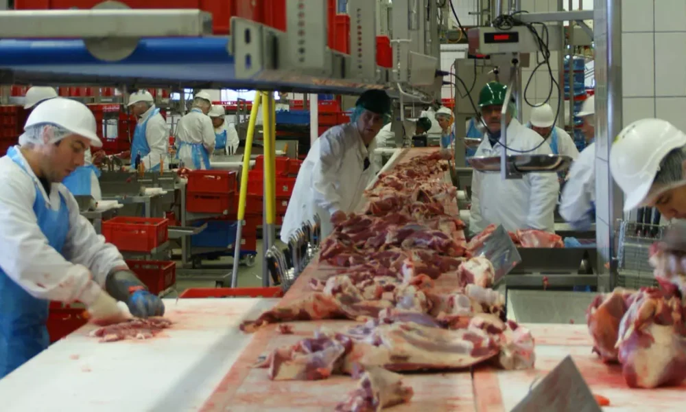 O Serviço Municipal de Intermediação de Mão de Obra (Simm) oferece 345 vagas de emprego e estágio em Salvador para a próxima