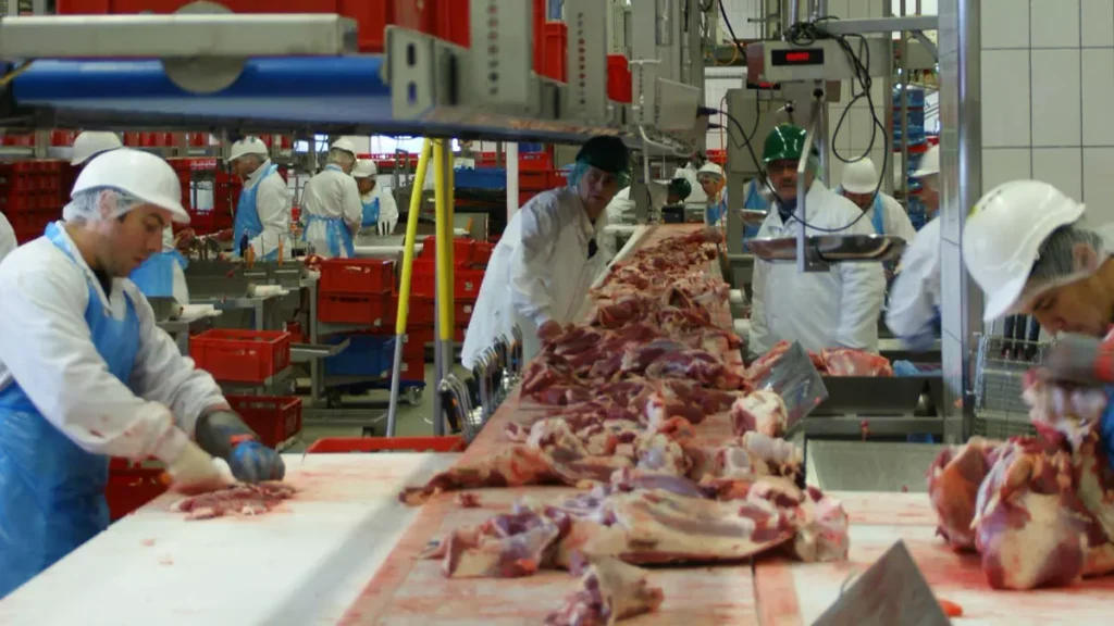 O Serviço Municipal de Intermediação de Mão de Obra (Simm) oferece 345 vagas de emprego e estágio em Salvador para a próxima