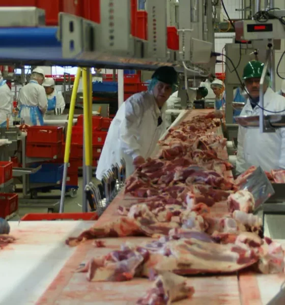 O Serviço Municipal de Intermediação de Mão de Obra (Simm) oferece 345 vagas de emprego e estágio em Salvador para a próxima