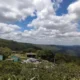 O Parque Estadual das Sete Passagens completa, neste domingo (24), 26 anos de criação, consolidando sua trajetória como uma