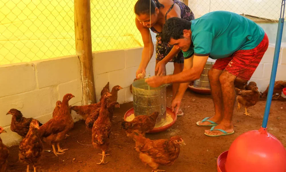 potencial produtivo e impulsionar a geração de trabalho e renda para famílias da agricultura familiar de Macajuba, o Governo da Bahia,