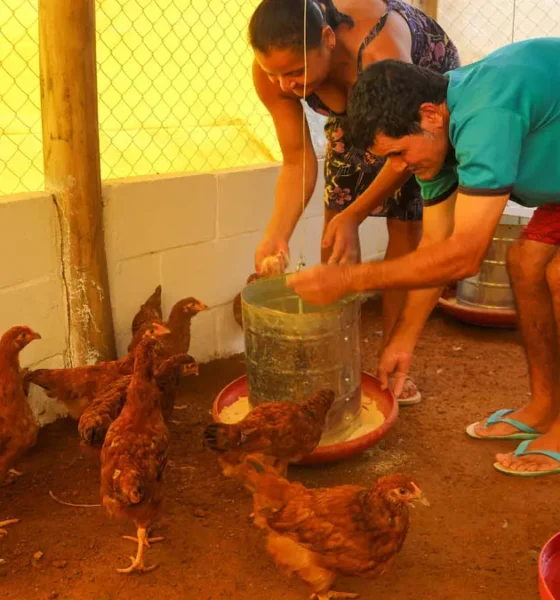 potencial produtivo e impulsionar a geração de trabalho e renda para famílias da agricultura familiar de Macajuba, o Governo da Bahia,