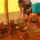 potencial produtivo e impulsionar a geração de trabalho e renda para famílias da agricultura familiar de Macajuba, o Governo da Bahia,