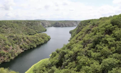seis regiões hidrográficas da Bahia para a revitalização de bacias ligadas ao Rio São Francisco. A iniciativa prevê ações de recuperação