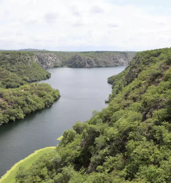 seis regiões hidrográficas da Bahia para a revitalização de bacias ligadas ao Rio São Francisco. A iniciativa prevê ações de recuperação