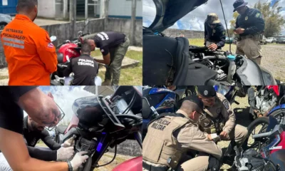 identificados por integrantes das Forças da Segurança durante o primeiro dia da Operação Ressonância, realizado nesta segunda-feira