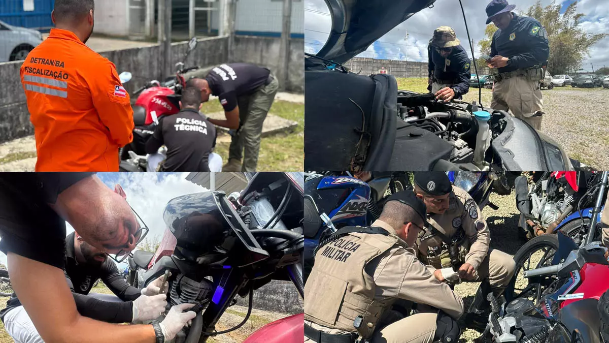 identificados por integrantes das Forças da Segurança durante o primeiro dia da Operação Ressonância, realizado nesta segunda-feira