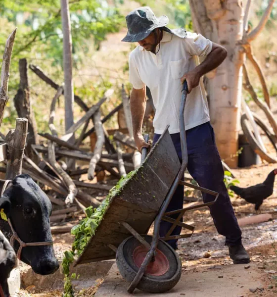 Guanambi, entre o Governo da Bahia, por meio da Companhia de Desenvolvimento e Ação Regional (CAR), e o Consórcio de Desenvolvimento