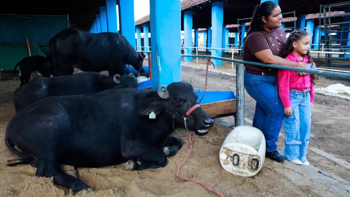 A 54ª Exposição Agropecuária de Itapetinga reuniu, neste domingo (24), produtores rurais, criadores, empresários e visitantes de diferentes
