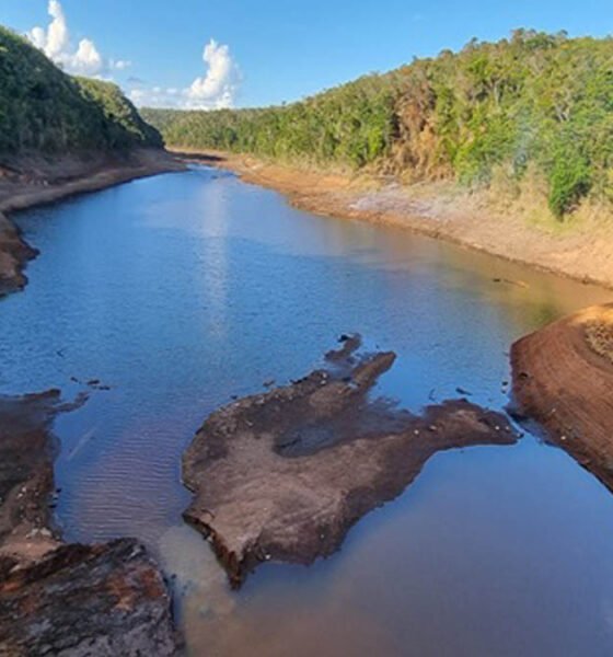 As chances de ocorrência do fenômeno El Niño no segundo semestre de 2026 chegam a 82%, segundo projeções do Instituto Nacional