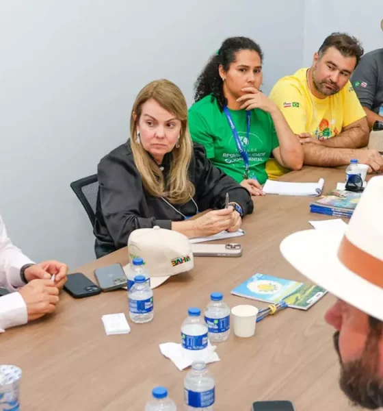 A criação de um grupo de trabalho (GT) para dar início ao processo de obtenção da Indicação Geográfica (IG) do algodão branco produzido
