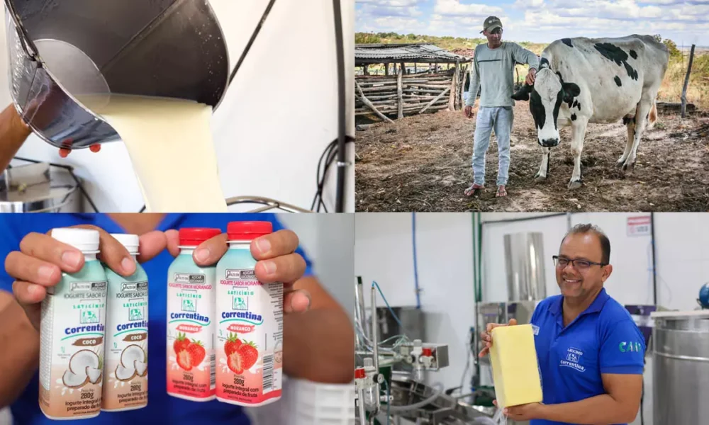 O fortalecimento da cadeia produtiva do leite em Correntina, no Oeste da Bahia, tem transformado a realidade de dezenas