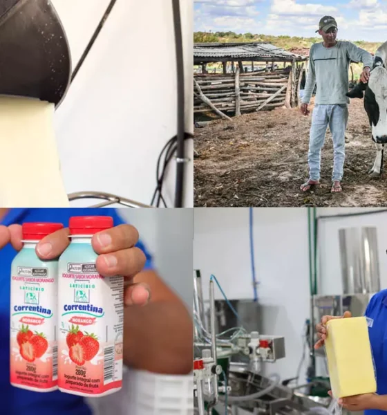 O fortalecimento da cadeia produtiva do leite em Correntina, no Oeste da Bahia, tem transformado a realidade de dezenas