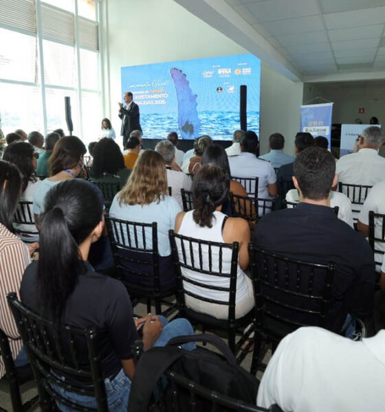 A temporada 2026 de observação de baleias-jubarte no litoral baiano foi lançada pelo Governo do Estado, nesta sexta-feira (12),