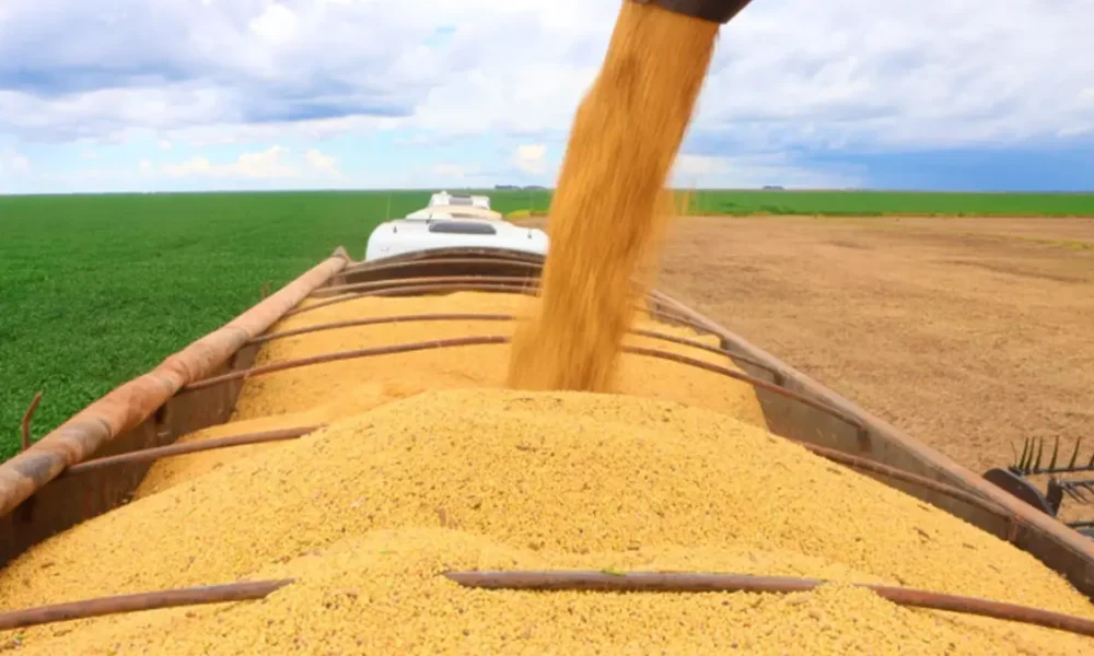 O Produto Interno Bruto (PIB) do agronegócio baiano, calculado pela Superintendência de Estudos Econômicos e Sociais da Bahia (SEI),