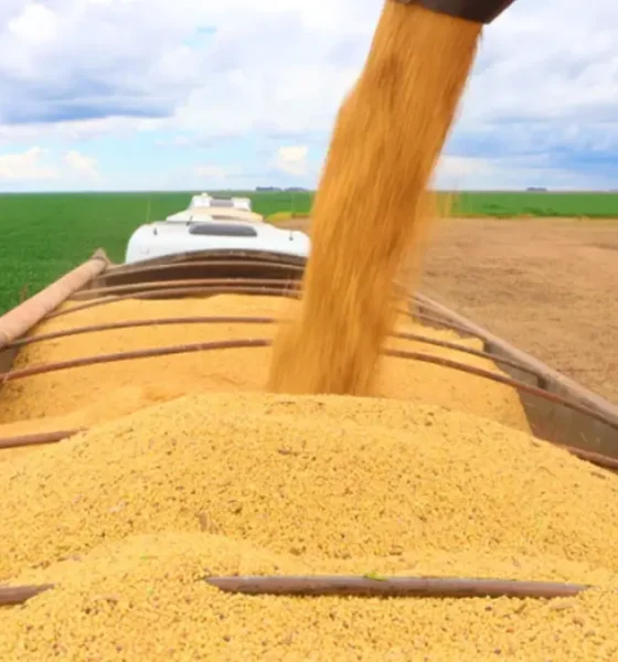 O Produto Interno Bruto (PIB) do agronegócio baiano, calculado pela Superintendência de Estudos Econômicos e Sociais da Bahia (SEI),