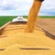 O Produto Interno Bruto (PIB) do agronegócio baiano, calculado pela Superintendência de Estudos Econômicos e Sociais da Bahia (SEI),