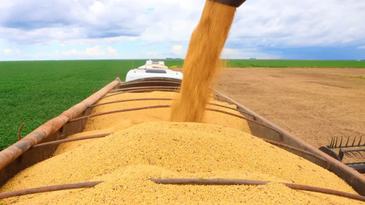 O Produto Interno Bruto (PIB) do agronegócio baiano, calculado pela Superintendência de Estudos Econômicos e Sociais da Bahia (SEI),