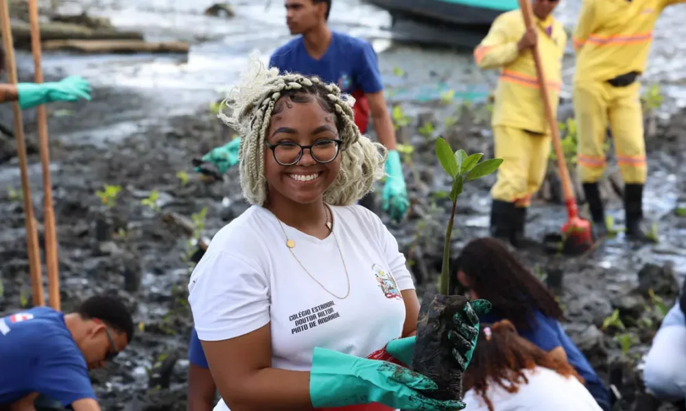 Nesta terça-feira (28), a área recebeu o plantio de três mil mudas de mangue, em uma atividade que reuniu moradores, estudantes