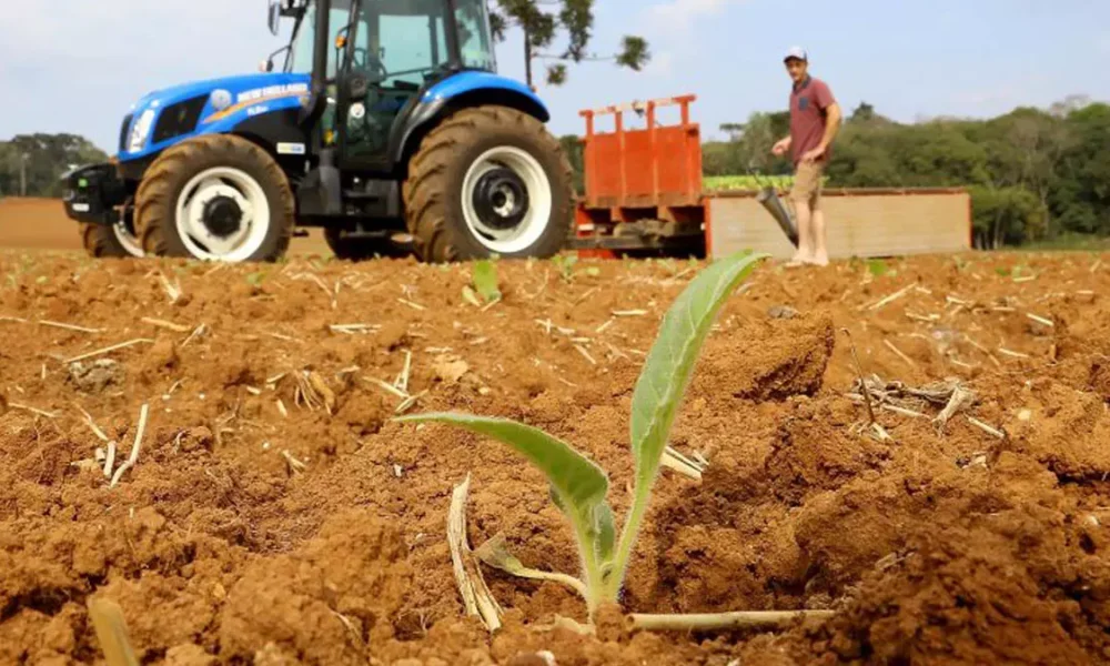 A Medida Provisória nº 1.376/2026, editada pelo governo federal na última quarta-feira (15), autoriza a criação de linhas de crédito rural