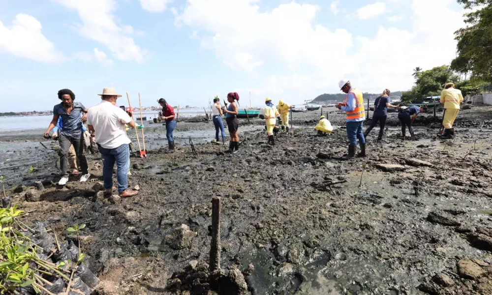 Com o objetivo de valorizar o território do Subúrbio Ferroviário de Salvador, o Governo da Bahia, por meio da Companhia