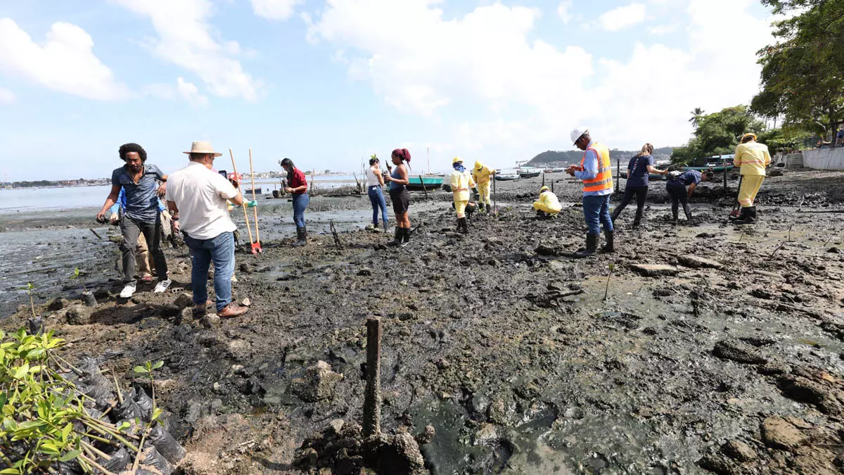 Com o objetivo de valorizar o território do Subúrbio Ferroviário de Salvador, o Governo da Bahia, por meio da Companhia