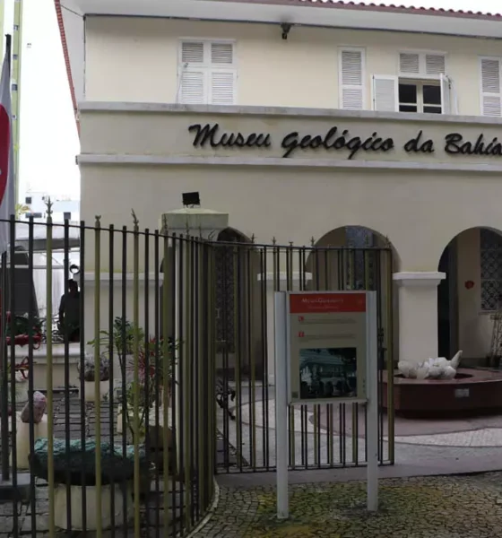 sessões de cinema e atividades educativas para crianças estão entre as ações promovidas pelo Museu Geológico da Bahia (MGB) durante a 20ª