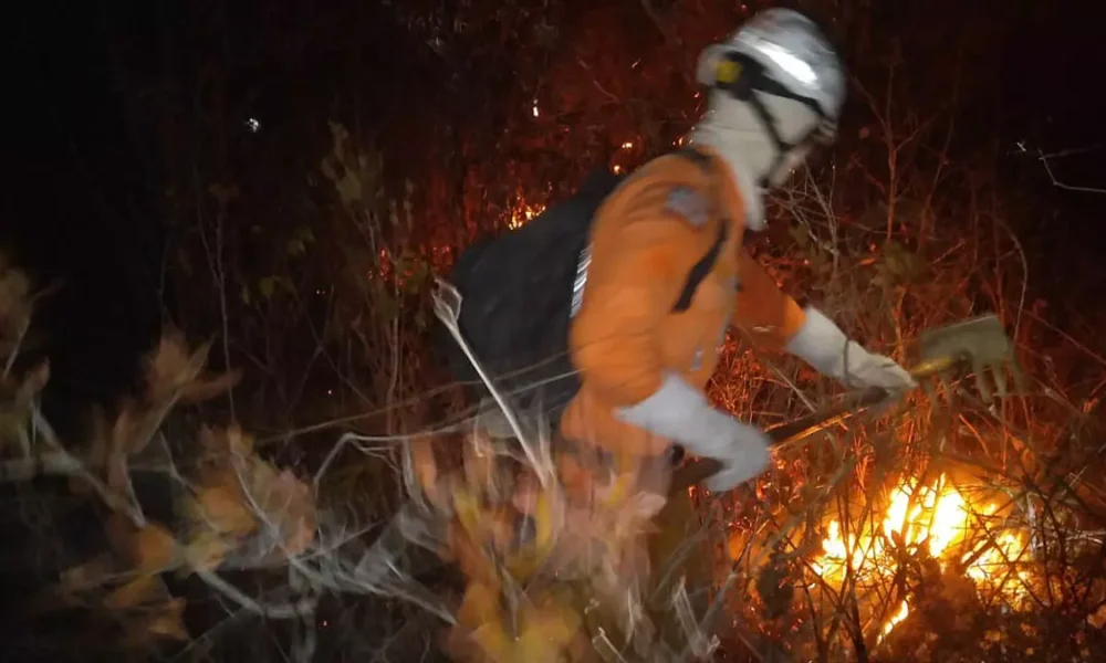 O Governo da Bahia intensificou as ações de combate ao incêndio florestal que atinge a região localizada na divisa entre os municípios