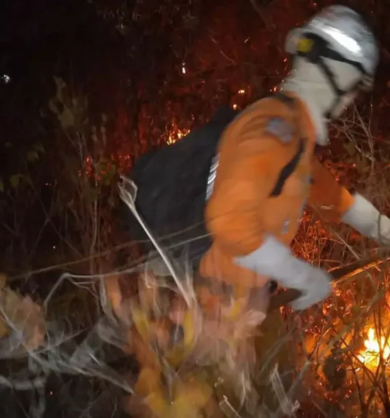 O Governo da Bahia intensificou as ações de combate ao incêndio florestal que atinge a região localizada na divisa entre os municípios