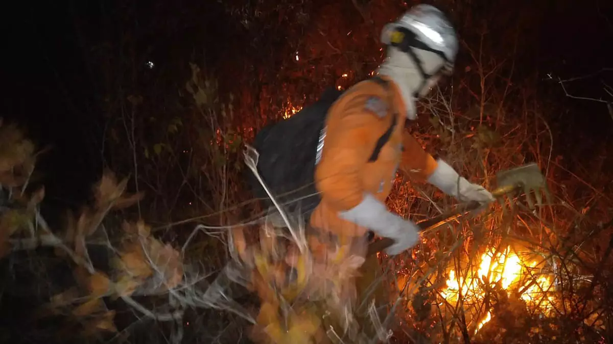 O Governo da Bahia intensificou as ações de combate ao incêndio florestal que atinge a região localizada na divisa entre os municípios