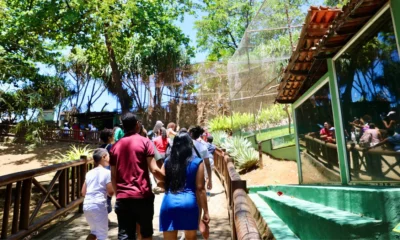 Os parques urbanos administrados pelo Instituto do Meio Ambiente e Recursos Hídricos (Inema) são opções para quem deseja aproveitar