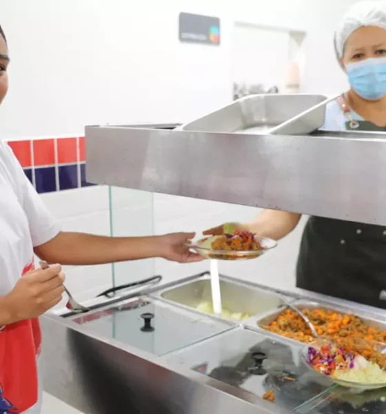 fortalece a participação da agricultura familiar na alimentação escolar, aproximando agricultores e agricultoras familiares das unidades