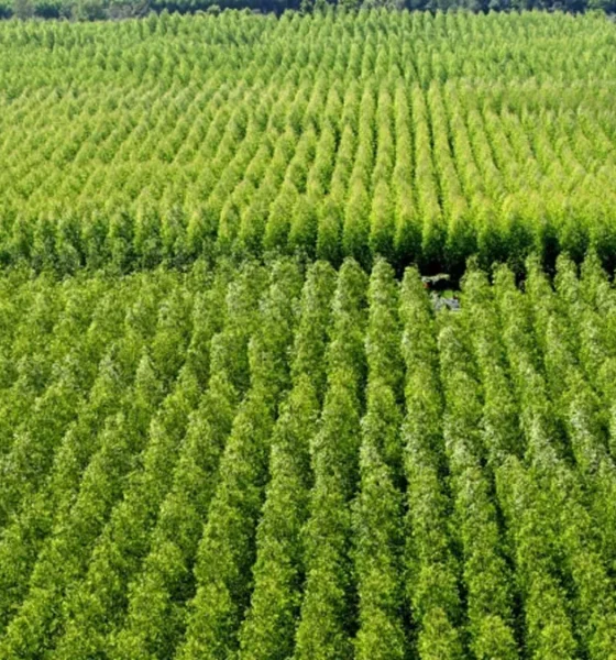 conta com o apoio da Prefeitura de Pedrão e integra o projeto de revitalização das Câmaras Setoriais da Agropecuária Baiana,