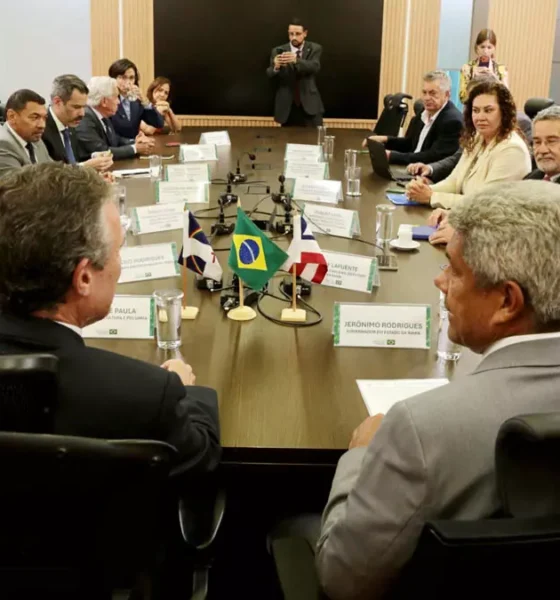 cacaueira em todo o território baiano, abrindo caminho para a implantação da primeira previsão oficial de safra de cacau do estado.