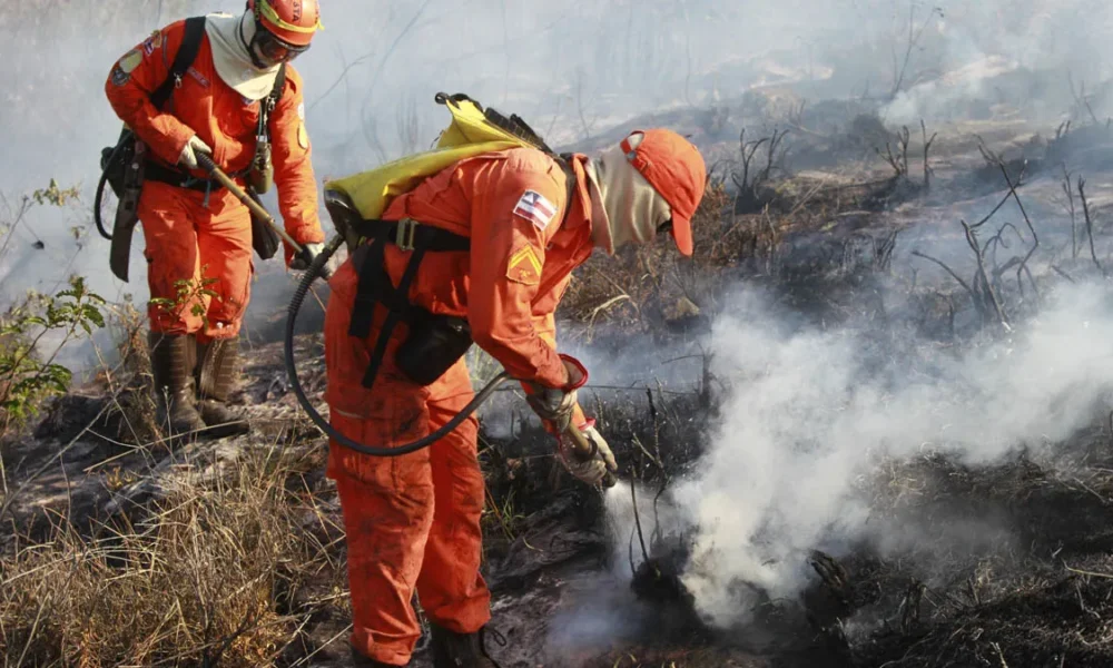 O Corpo de Bombeiros Militar da Bahia (CBMBA) completou, nesta quarta-feira (7), 100 dias da operação florestal com atuação exclusiva