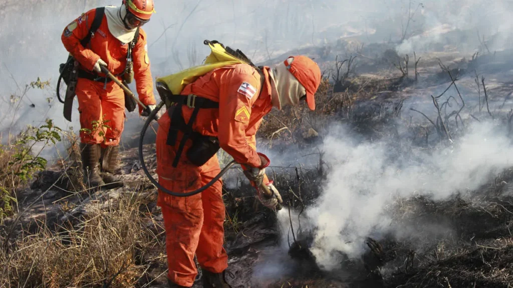 O Corpo de Bombeiros Militar da Bahia (CBMBA) completou, nesta quarta-feira (7), 100 dias da operação florestal com atuação exclusiva