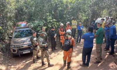 O Instituto do Meio Ambiente e Recursos Hídricos (Inema) iniciou, na quinta-feira (15), as atividades de campo da operação Ronda Verde